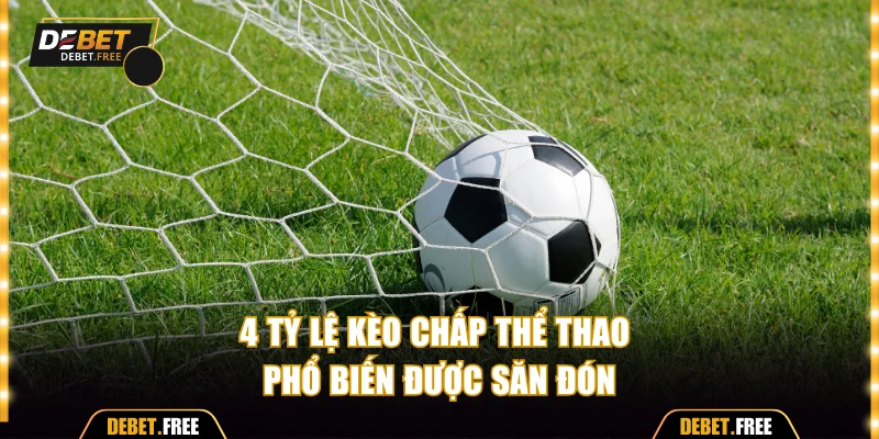 4 tỷ lệ kèo chấp thể thao phổ biến được săn đón
